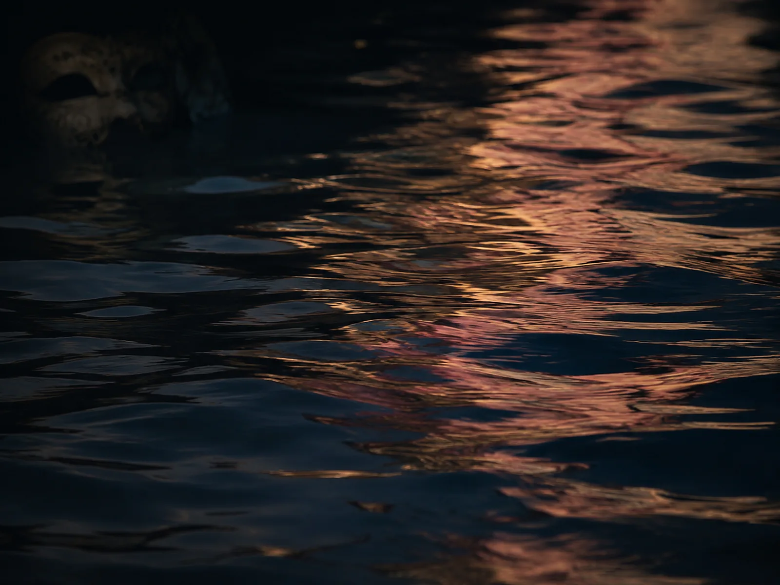 Reflets dorés sur l'eau de Venise, stage Tantra Venezia